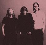 Noise'n'romance. Det kalder danske The Entrepreneurs selv deres musik, som bl.a. er inspireret af Nirvanas første album 'Bleach'. 