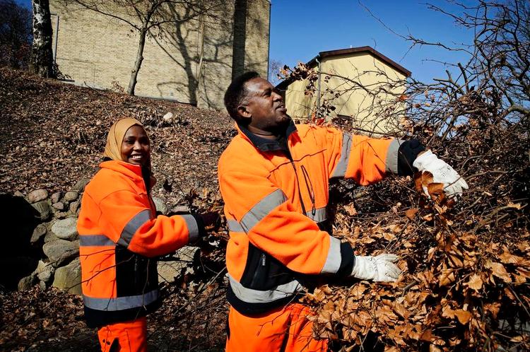 Fodfæste. Parret Arafa og Ahmed Adam flygtede fra Sudan til Danmark for snart fem år siden. De er glade for aktiveringen i Gladsaxe Kommunes driftsafdeling, som skal hjælpe dem til at finde en plads i arbejdslivet. For nye flygtninge kommer der til at gælde helt nye regler. 