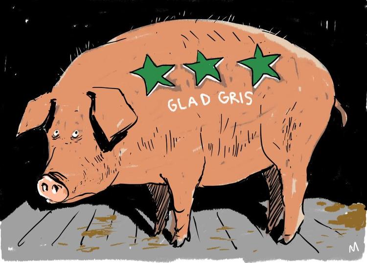 Tegning: Mette Dreyer 