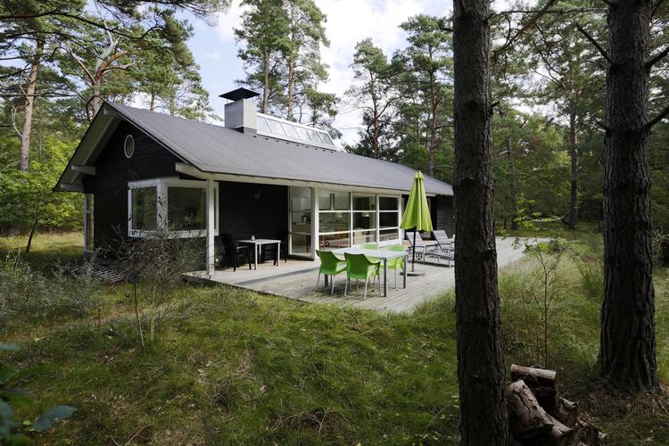 TJEKLISTE. Det er nemt at forelske sig i drømmen om sommerhuset som ramme om lykkelige stunder med familien. Men det er en god idé at tjekke, om drømmen også er realistisk, inden du køber. 