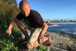 Det er især tre planter, som Michael Larsen denne morgen går efter at sanke på Bondi Beach. Det er ‘Scurvy Weed’, som er en australsk plantegruppe, der har en mild græsagtig smag. Michael Larsen forsøger også at finde og plukke vild brøndkarse, der vokser på klipperne ved stranden. Og han går efter ‘warrigal green’, der er en slags strand-spinat, som aboriginis og maorier i Australien og New Zealand også har brugt i madlavning. 