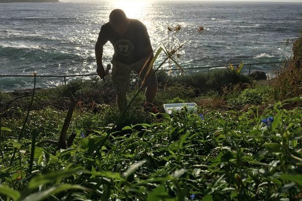 Michael Larsen begynder ved seks-tiden om morgenen, hvor han kører ud fra garagen under Nomas restaurant i det centrale Sydney. Det første stop er tit på Bondi Beach. De fleste kommer her for at surfe og svømme. Og der er også en populær løberute rundt langs klipperne omkring stranden. 