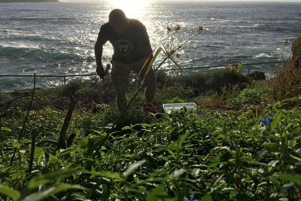 Michael Larsen begynder ved seks-tiden om morgenen, hvor han kører ud fra garagen under Nomas restaurant i det centrale Sydney. Det første stop er tit på Bondi Beach. De fleste kommer her for at surfe og svømme. Og der er også en populær løberute rundt langs klipperne omkring stranden. 