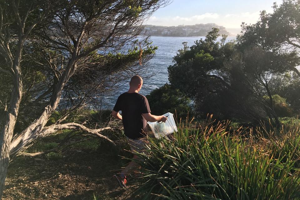 Bondi Beach er en af Sydneys mest berømte strande, som kun ligger cirka 7 kilometer fra centrum af byen. Det er også et af byens dyreste kvarterer, for udsigten over den brede og hvide sandstrand, er ikke billig. 