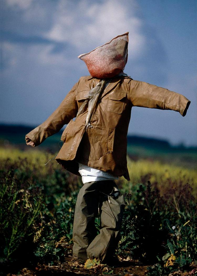 Skræmmende. Colin Garrats udstilling er blevet vist på Geddes Gallery i London. 