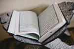 Religion. Regeringen vil forhindre imamer i Danmark i at komme med udtalelser, der 'undergraver' samfundet, når de forkynder koranen. 