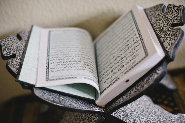 Religion. Regeringen vil forhindre imamer i Danmark i at komme med udtalelser, der 'undergraver' samfundet, når de forkynder koranen. 