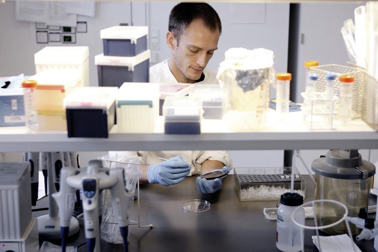 DIANOSTICA. Statens Serum Institut er tæt på salg af datterselskab. Her undersøger en medarbejder bakterieprøver fra salmonella. 