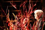 Annette Vilhelmsen udnævnes som ny formand for SF