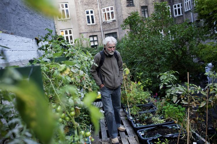 Grønt. Danskerne vil gerne leve mere bæredygtigt, men ved ikke hvordan. 