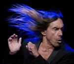 Aarhus. Iggy Pop spiller på Northside i år. En stilsikkert og kvalitetsbevidst festival, hvis program får fire hjerter af Simon Lund. 