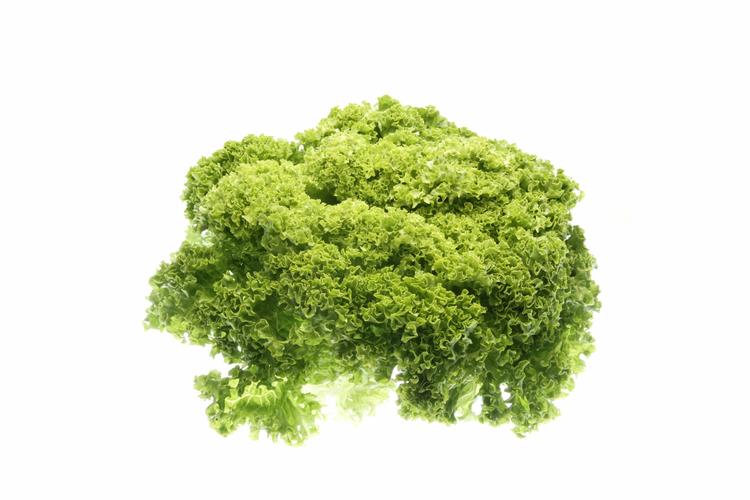 Synderen er formodentlig Lollo Bionda-salaten, der kan kendes på sine karakteristiske friske grønne og krøllede blade. 