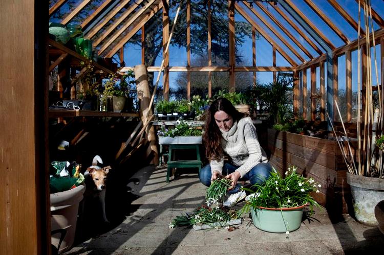 DRIVHUS. Signe Wenneberg bruger drivhuset fra marts til december. 