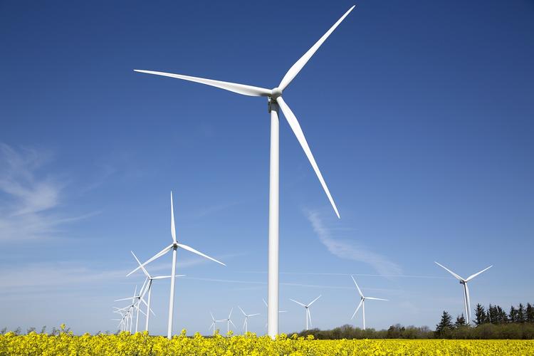 Vind. Havvindmøller støttes gennem en garantipris for den strøm, de producerer i de første 10-12 år af deres levetid, så støtten er direkte afhængig af elprisen. 