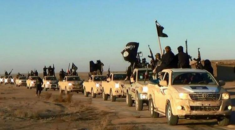 Måling. Terrorgruppen Islamisk Stat har ikke opbakning blandt flertallet af unge arabere, viser undersøgelse. 