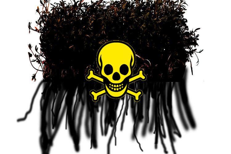 roundup illunyny