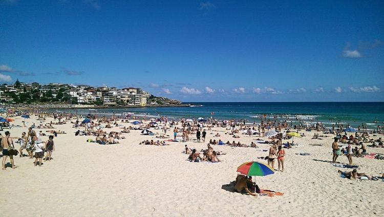 FLUEPAPIR. Det søde strandliv og surfbølgerne på Bondi Beach tiltrækker millionvis af turister og tilflyttere fra hele verden. 