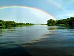 Brasilien. Pantanal er verdens største vådområde. Læserfoto: Søren Rasmussen 