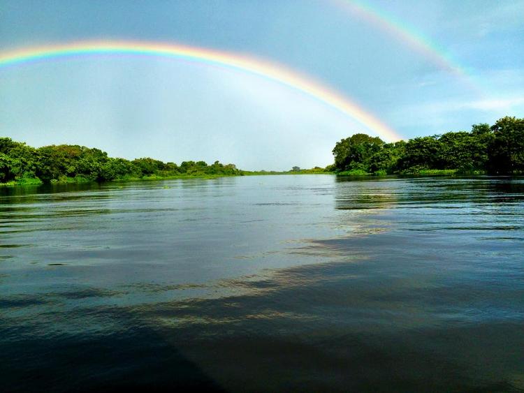 Brasilien. Pantanal er verdens største vådområde. Læserfoto: Søren Rasmussen 
