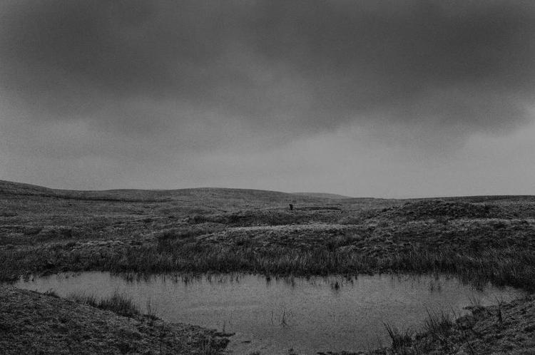 Tilbageblik. Forfatteren driver sine personer tilbaeg i barndommens mystiske landskab i Lancashire. Arkivfoto: Alexander Nicholson 