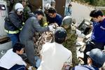 Japan Earthquake
