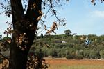 SKUE. Kører man fra Rom langs kysten mod Monte Argentario og Grosseto, kan man, lige når man er kørt ind i Toscana, skimte nogle store farvestrålende strukturer, der stikker op midt i et skovbælte.