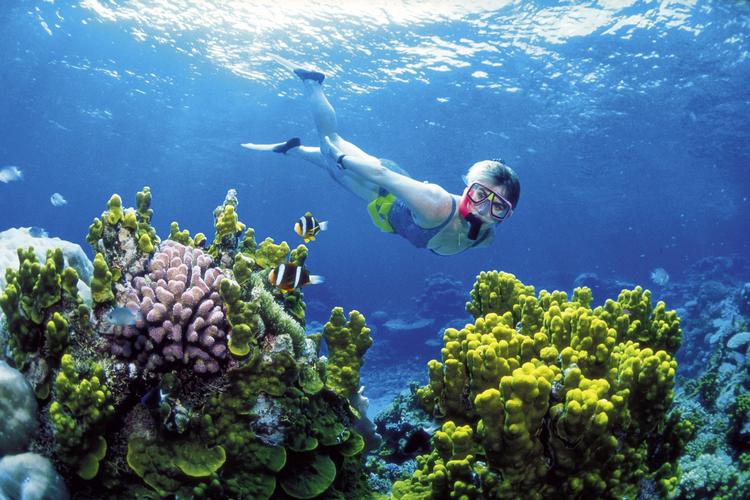 Great Barrier Reef udsat for værste blegning nogensinde