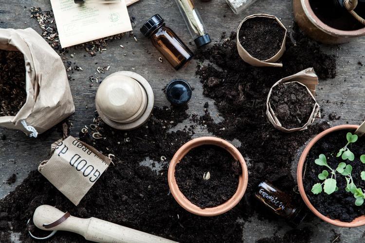 Grønt. Der er plantemarked, hvor man kan få alt i frø og planter. 
