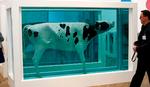 DYR(T). Den britiske kunstner Damien Hirst er blandt andet kendt for sine dyr udstillet i den giftige gasart formaldehyd. Men der siver giftige gasser fra dem, siger forskere. 
