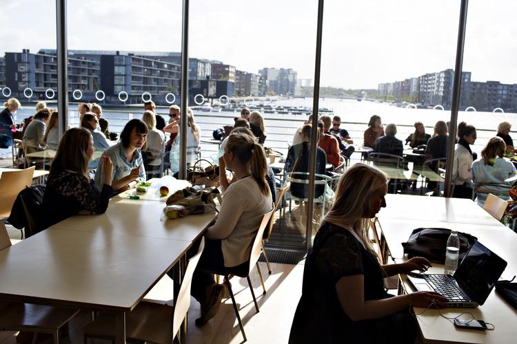 færre. Der er for mange universiteter i Danmark, og Aalborg Universitet er et af dem, lyder det fra Flemming Besenbacher, formand for Carlsberg og Carlsbergfonden. 