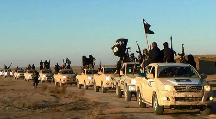 Is-krigere. Færre danskere tager til Syrien og kæmper for Islamisk Stat. Dem, der gør, kommer oftest ikke hjem. 