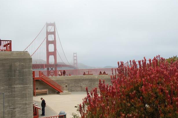 AFSTEMT. Planterne har samme farve som broen. 