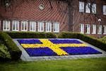 Oprør. »Vi står fuldstændig bag netneutraliteten, og selvfølgelig følger vi loven«, siger Jonas Hasselberg, chef for Telias forbrugertjenester, til SVT. Svenske medier er ikke enige. 