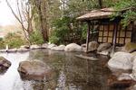 DSC01444.JPG