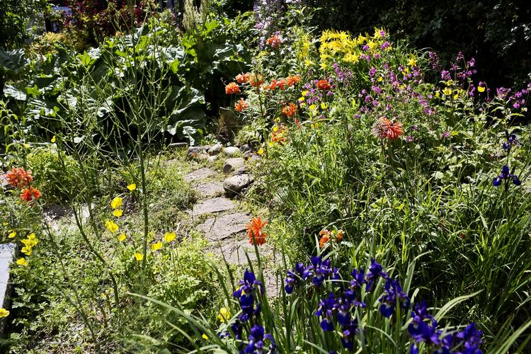 BLOMSTERBED. En læser vil ikke have vorterødderne i sine mere styrede bed. 