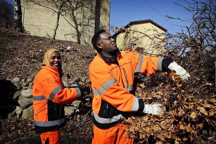 Gevinst. Nye beregninger viser, at flygtninge vil blive en gevinst og ikke en udgift for dansk økonomi på sigt. 