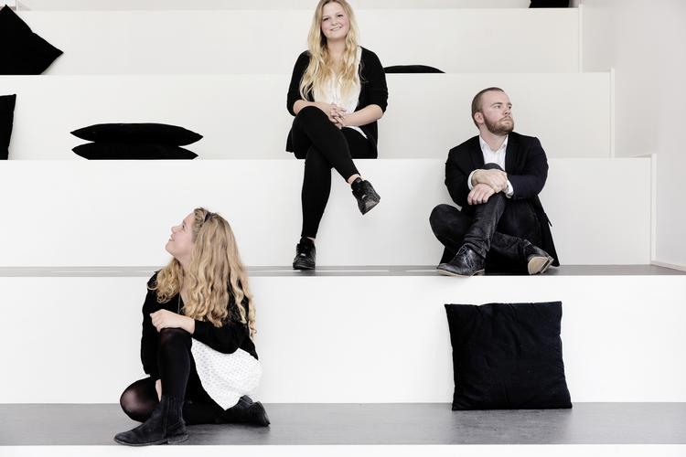 Debat. Brugerbetaling skaber motiverede studerende, mener professor David Palfreyman. 