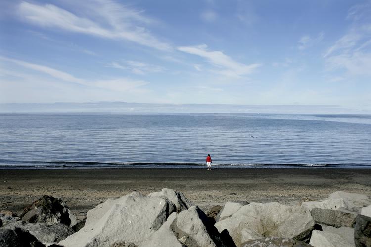 Humoristisk. Romanen 'Svaner bliver ikke skilt' er fuld af islandsk landskab og vejrlig og tilsat en god portion humor og ironi i persontegningen. (arkivfoto) 
