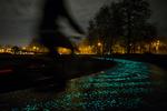 Selvlysende. Billedet viser Van Gogh Roosengaarde-cykelstien i Holland, som er gjort selvlysende ved hjælp af en mere traditionel teknik, som led i et kunstprojekt. 