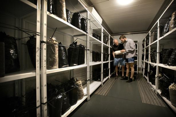 De første tre uger står svampene i en container, der skal simulere en 20-graders sommerdag. 