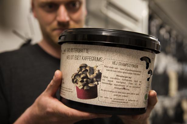 Medstifter Tobias Lau viser det grosæt, som de sælger i butikken Beyond på Jægersborggade i København. Med sættet kan man selv gro østershatte hjemme på køkkenbordet. 
