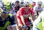 POPULÆR. 'Marcello il Bello' kalder italienerne ham - tyske Marcel Kittel - der har været flyvende under starten på årets Giro d'Italia. 