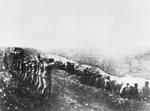 MASSEDRAB. Mange af ofrene i Bobruisk blev skudt ved åbne massegrave. Det var en drabsmetode, tyskerne ofte benyttede under deres angreb på nabolandene. Her skyder de jødiske ofre i Kiev i 1942. 