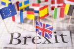 EU-MEDLEMSKAB. En stor del af europæerne ser gerne at der afholdes folkeafstemninger om EU. 