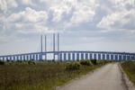 REDNINGSAKTION. Der deltog både en helikopter fra Søværnet, dykkere fra Hovedstadens beredskab og flere både i med redningsaktionen i går. 