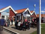 NIBE. Guf og kugler på havnen. Læserfoto: Trine Post Madsen 