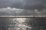 RB PLUS: Sortænder forsinker kystnære havmøller