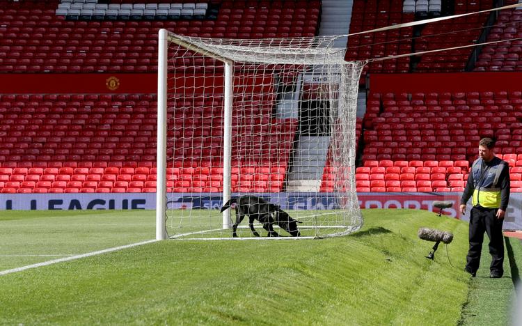BOMBEINDSATS. En bombehund i aktion på Old Trafford efter fundet af det, der viste sig at være en attrap. 