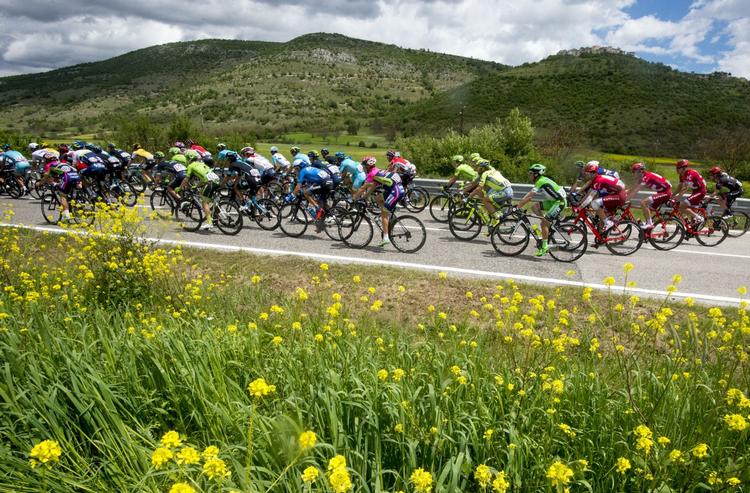 Idyl. Feltet skal på dagens etape op i lidt over 1.000 meters højde. 