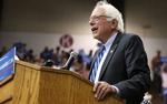 Valg. Alt tyder på, at Bernie Sanders vinder primærvalget i Oregon, mens han taber knebent til Clinton i Kentucky. 